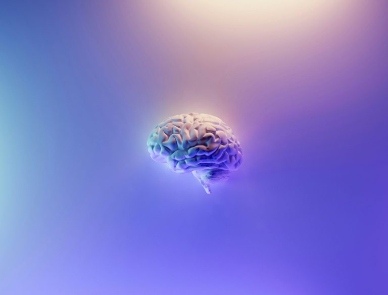 milad fakurian 58Z17lnVS4U unsplash (1)
