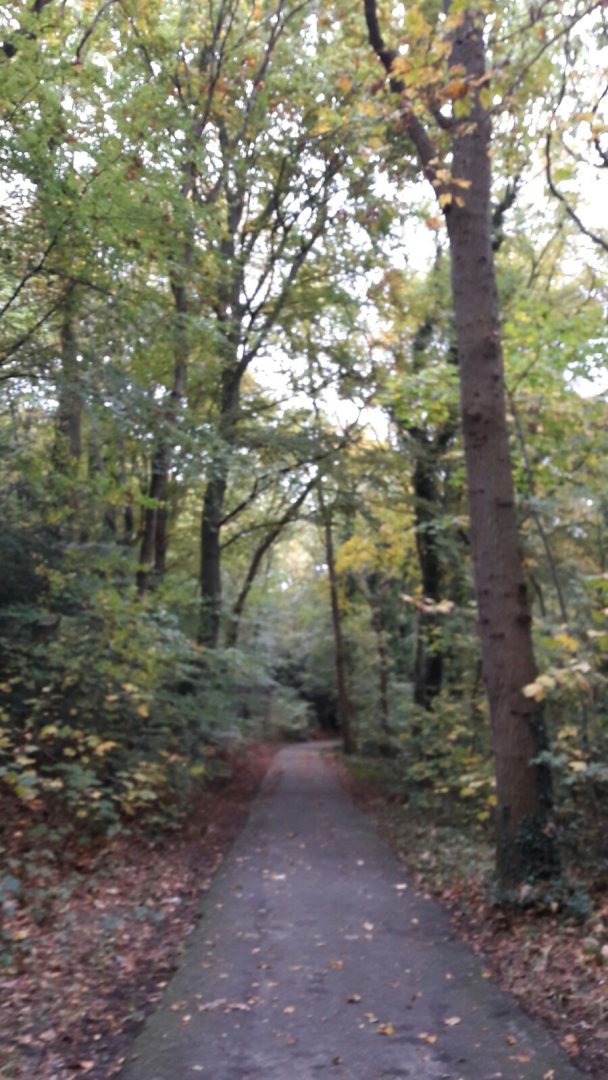 wegnaargeluk