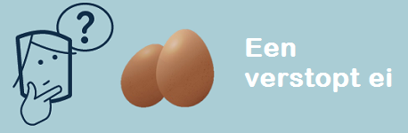 Een_vraag_met_een_ei